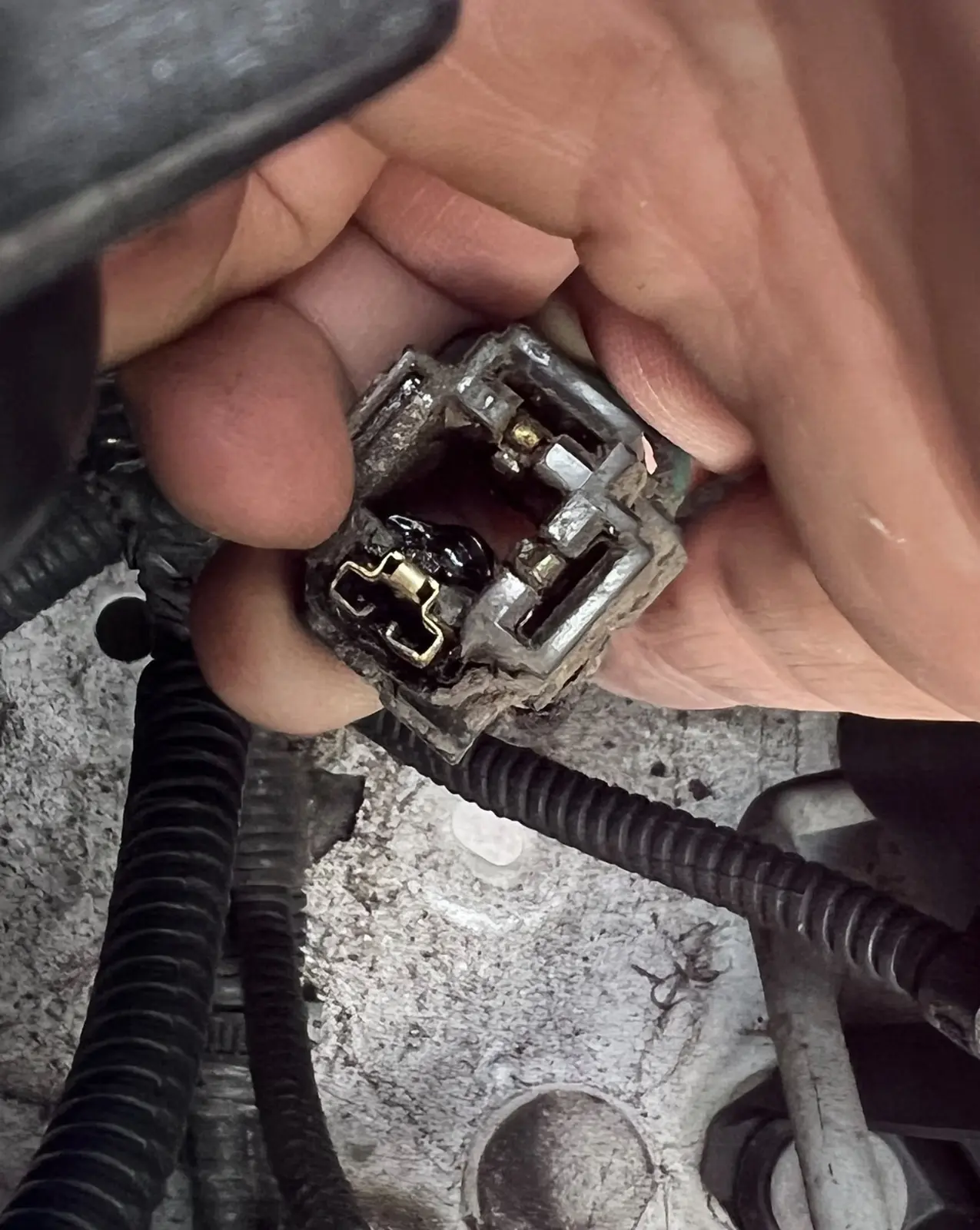 Damaged electrical connector found during the Hilux headlight work