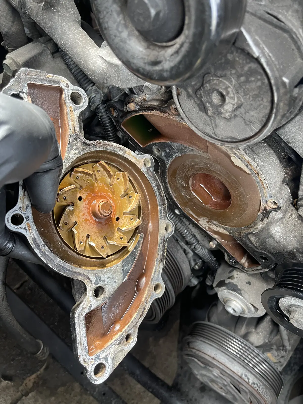 Removed Holden VX water pump beside the exposed engine mounting face