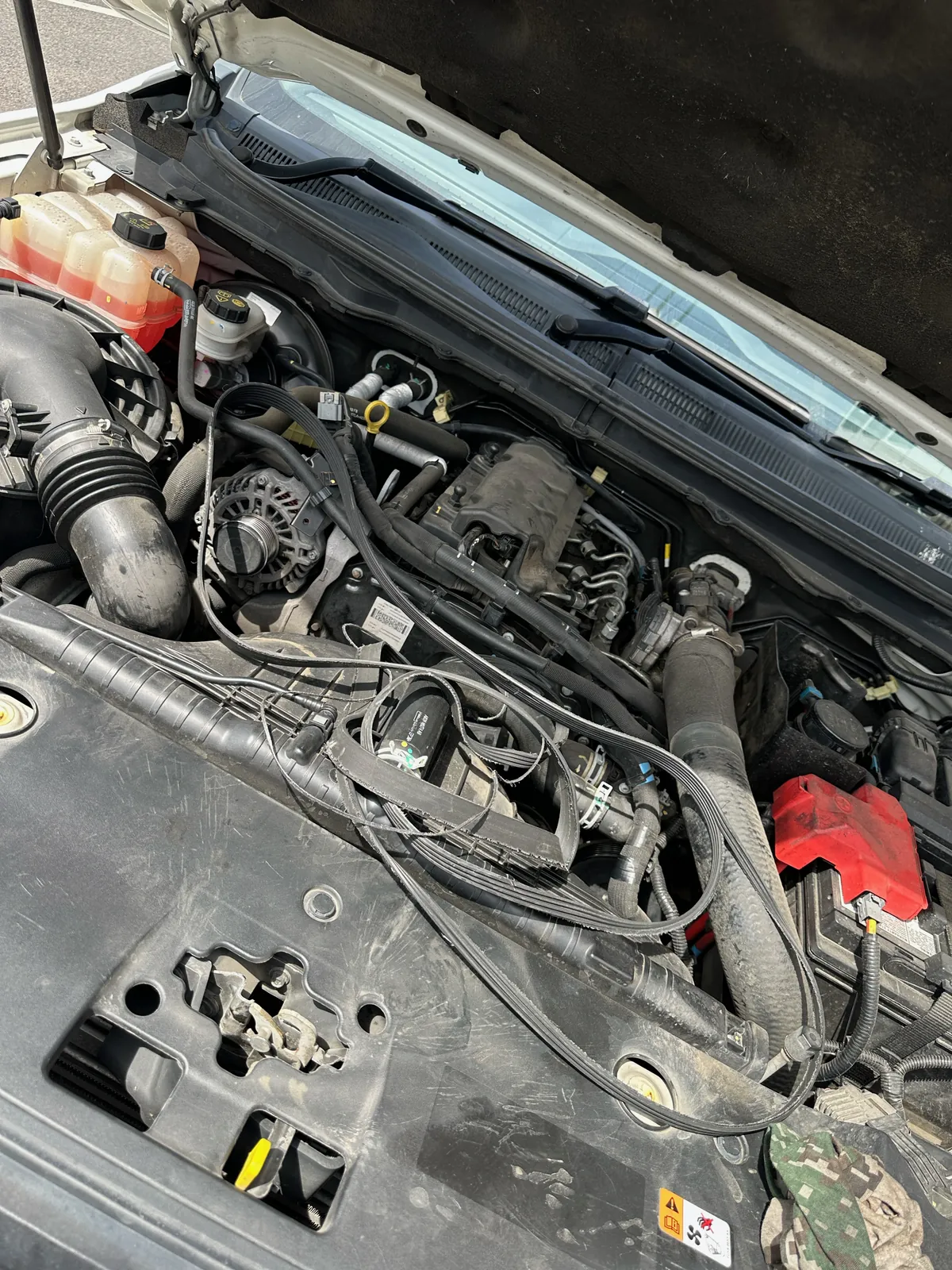 Ford Ranger diesel engine bay with the damaged drive belt laid across the front